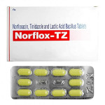 Norflox-TZ RF Tablet 10's
