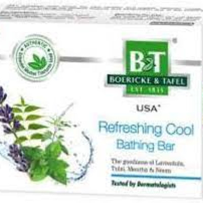 Boericke and Tafel Refreshing Cool Bathing Bar